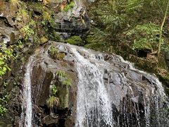 -藏龙百瀑风景区