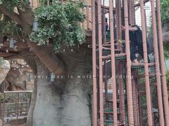 -杭州开元森泊度假乐园