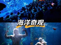 -南昌融创海世界