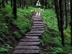 -硗碛藏寨·神木垒景区