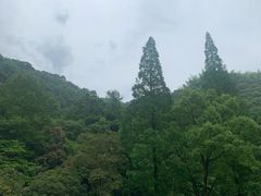 -天明山温泉大酒店