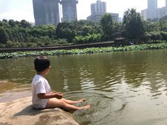 -龙头寺公园