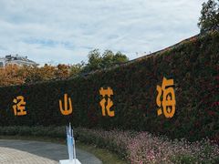 -径山花海