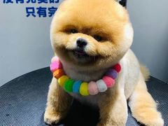 -宠物家(双井店)