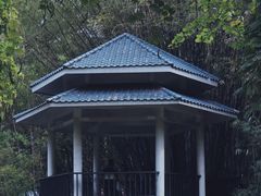 -晓港公园
