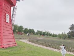 -九龙湖公园