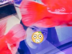 -福田农产品批发市场有限公司蔬菜交易区