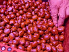 -高记福桂桂花糖炒栗(鼓楼店)