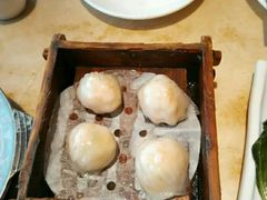 -又一间茶点轩(百汇广场店)