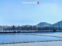 -东湖生态旅游风景区