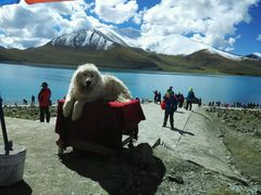 android_upload_pic-羊卓雍措