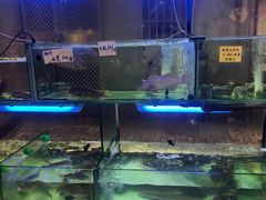 -凤城礼记鱼翅海鲜酒家(新马路总店)