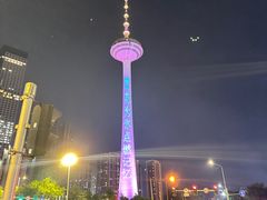 -辽宁电视塔