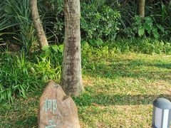 -深圳湾公园(南山区)