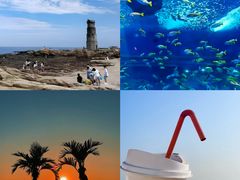 -巧克力渔家.小船海鲜家常菜(万平口店)