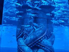 -波塞冬旅游度假区