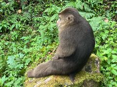 -西岭雪山大飞水景区