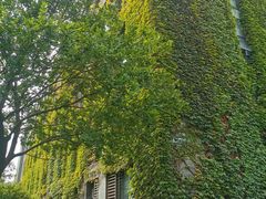 -苏州大学独墅湖校区-第6食堂