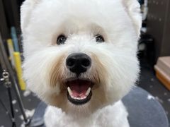 -宠宠熊宠物美容(星湖街店)