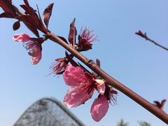 -济南方特东方神画