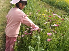 -光明小镇欢乐田园