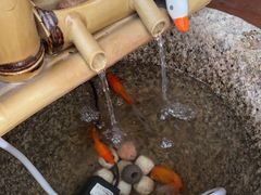 -小茶闲舍·观景商务茶馆(广州塔店)