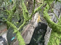 -青青世界