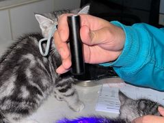 -中农国际动物医院24小时·猫科·骨科·急重症中心