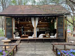 -长白岛森林公园