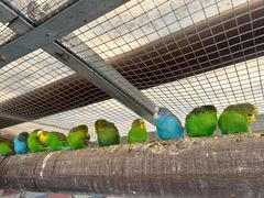 -珠海海泉湾神秘岛亲子乐园