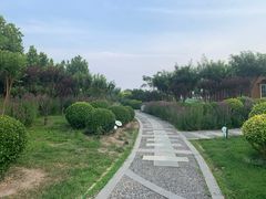 -东疆建设开发纪念公园