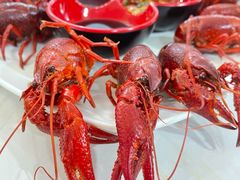 清蒸小龙虾-辣螃铠盆盆蟹大排档(总店)