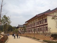 iphone_upload_pic-东林大佛