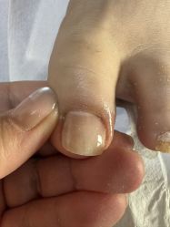 -杨红水晶延长美甲美睫