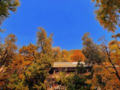 -潭柘寺景区