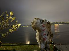 -柳莺湖上·湖景餐厅·江南菜(西湖店)