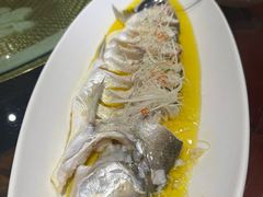 -金枝玉叶上海人家食府(三里河店)