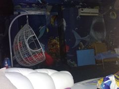 -影都会酒店式主题情侣私人影院猫舍猫咖店(中街店)