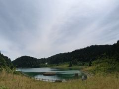 -武陵山森林公园