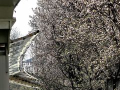 -唐城墙遗址公园