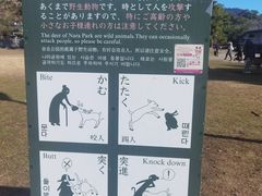 -奈良公园