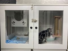 -PETKIT小佩宠物·低压洗护(国顺东路店)