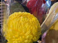 -越秀西湖花市(广州城市广场花卉店)