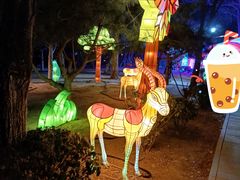 -南宫五洲植物乐园