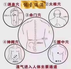 -雅曼妮spa美容养生