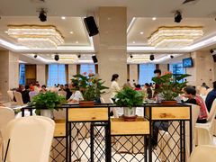 大堂-新君悦国际酒店