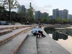-新江湾城公园