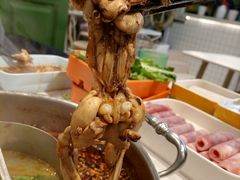 -蛙两只美蛙鱼头火锅(恒茂店)