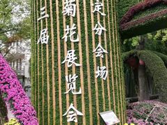 -汇龙潭