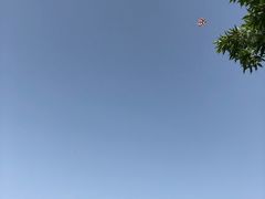 -济南国际园博园